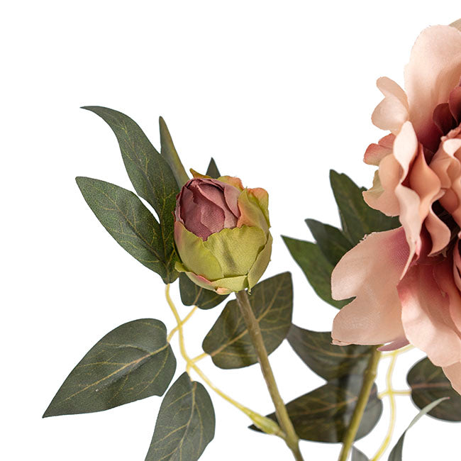 Vintage Peony Spray Dusty Pink (70cmH)