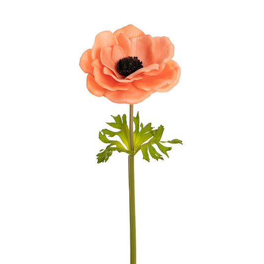 Anemone Flower Stem Peach (14cmDx57cmH)