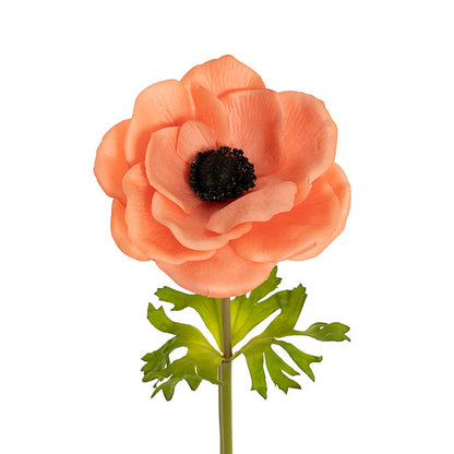 Anemone Flower Stem Peach (14cmDx57cmH)