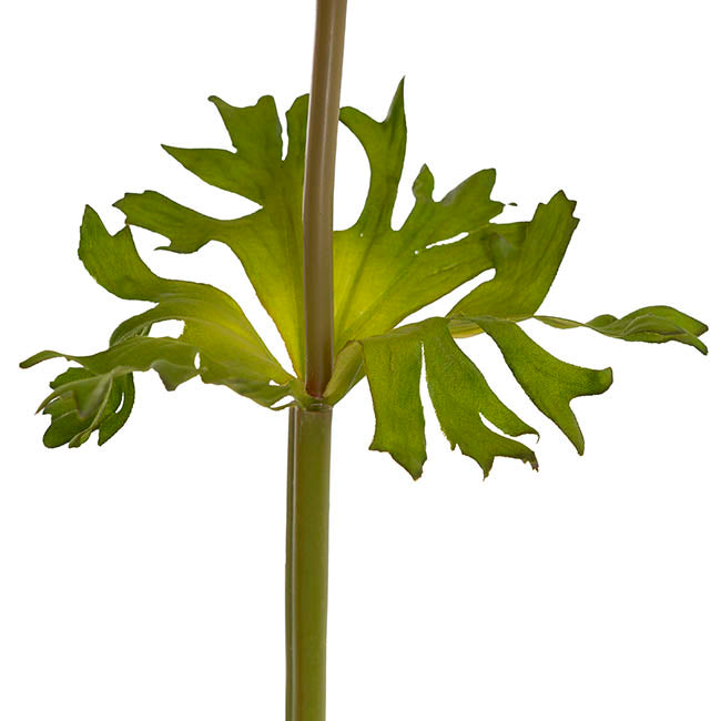 Anemone Flower Stem Peach (14cmDx57cmH)
