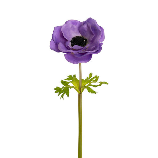 Anemone Flower Stem Purple (14cmDx57cmH)