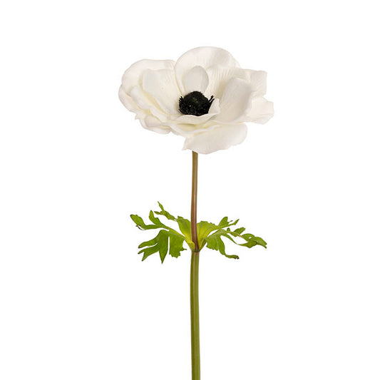 Anemone Flower Stem White (14cmDx57cmH)