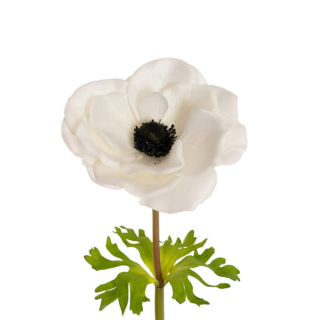 Anemone Flower Stem White (14cmDx57cmH)