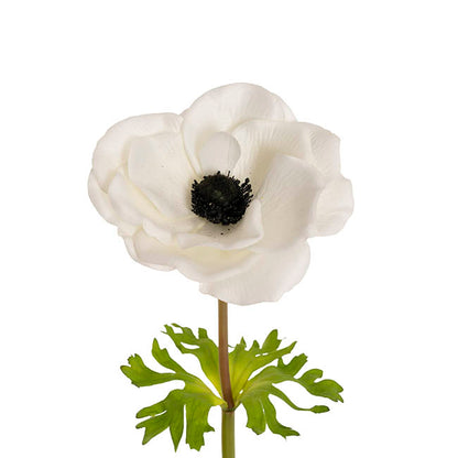 Anemone Flower Stem White (14cmDx57cmH)