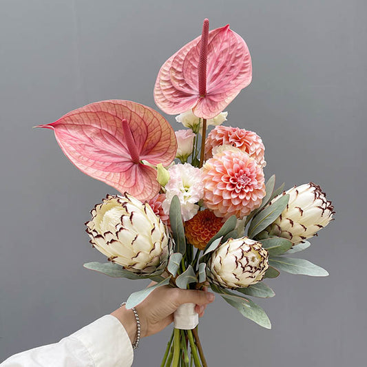 Native Protea Off White (66cmH)