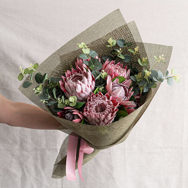 Protea Magnifica Stem Deep Pink (14cmDx69cmH)