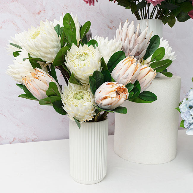 Protea Magnifica Stem White (14cmDx69cmH)