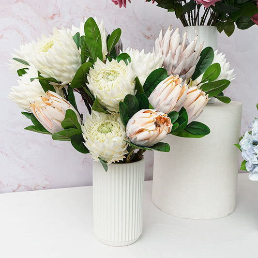 Protea Magnifica Stem White (14cmDx69cmH)