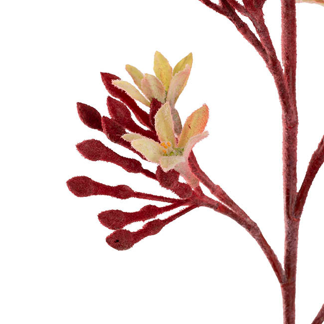 Native Artificial Kangaroo Paw Spray Dark Red (83cmH)