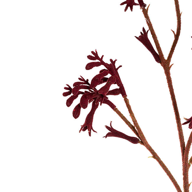 Native Artificial Kangaroo Paw Spray Red (62cmH)