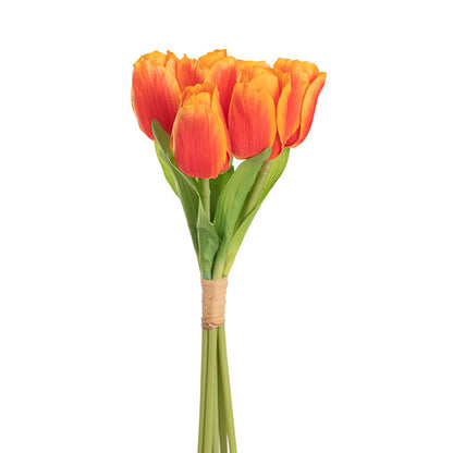 Dutch Tulip Bouquet x 7 Orange (30cmH)