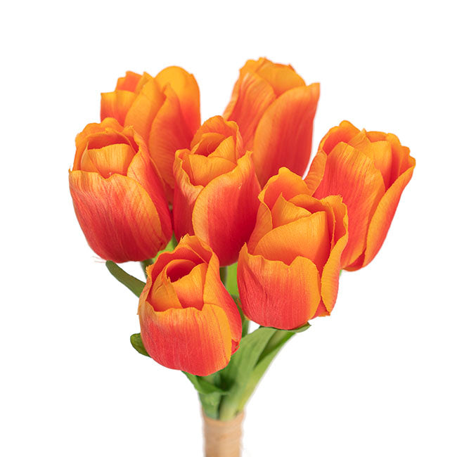 Dutch Tulip Bouquet x 7 Orange (30cmH)