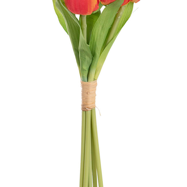 Dutch Tulip Bouquet x 7 Orange (30cmH)