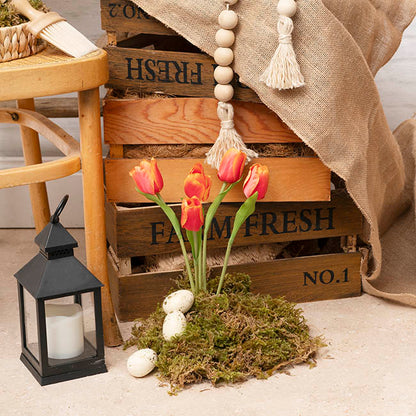 Dutch Tulip Bouquet x 7 Orange (30cmH)