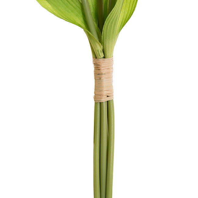 Dutch Tulip Bouquet x 7 Pink (30cmH)