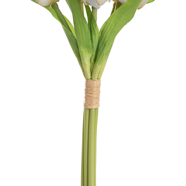 Dutch Tulip Bouquet x 7 White (30cmH)