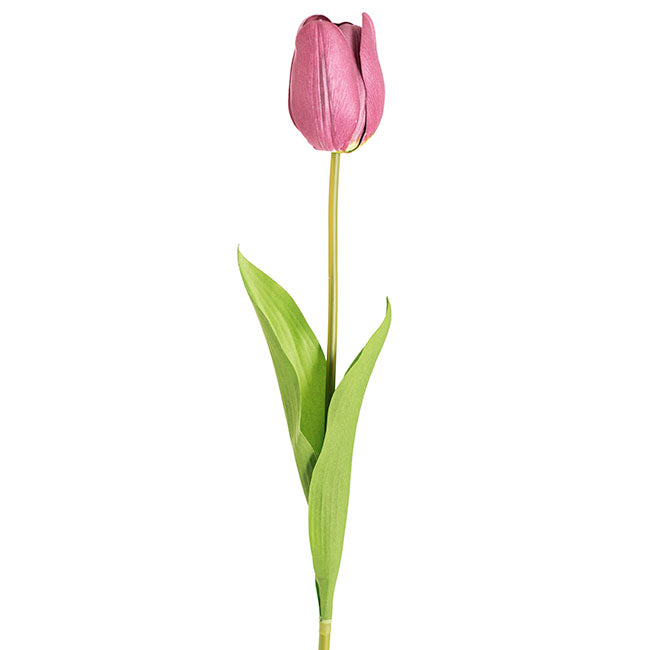 Real Look Tulip Purple (6cmDx63cmH)