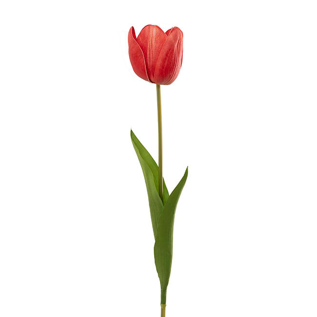 Real Look Tulip Red (6cmDx63cmH)