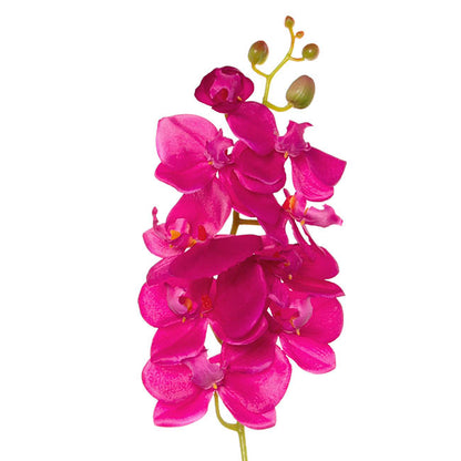 Phalaenopsis Orchid Hot Pink (75cmH)