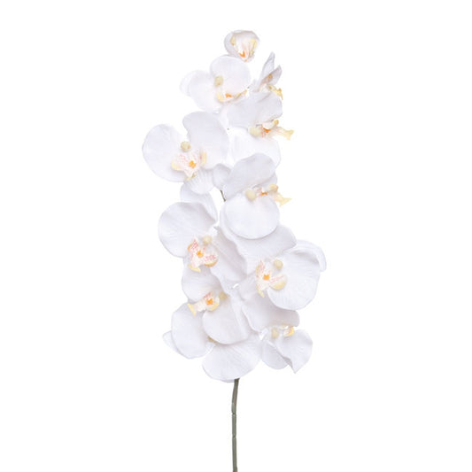 Phalaenopsis Orchid White (90cmH)