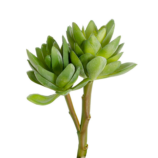 Artificial Succulent Florette 2 Head Spray Green (18cmH)