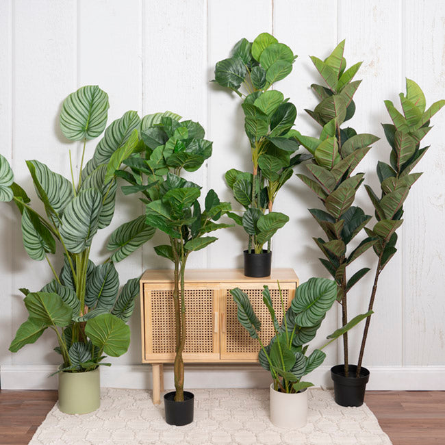 Real Touch Arrowroot Potted Plant Green (170cmH)