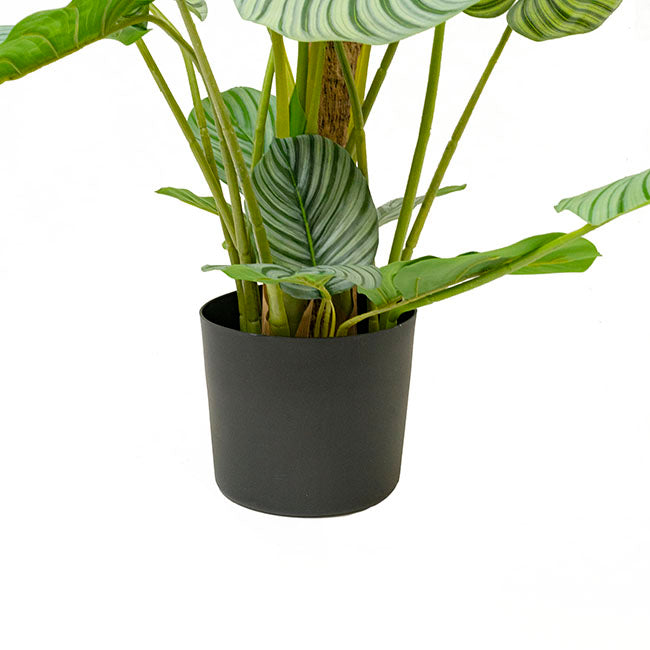 Real Touch Arrowroot Potted Plant Green (170cmH)