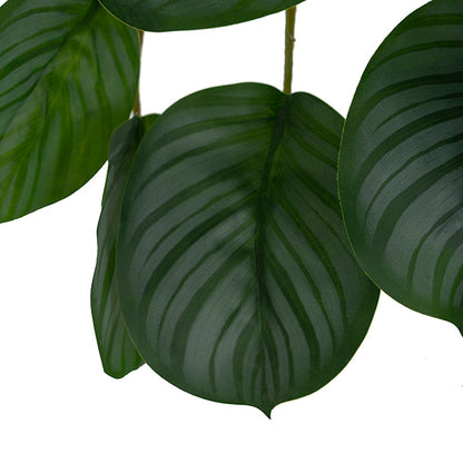 Real Touch Arrowroot Draping Potted Plant Green (35cmH)