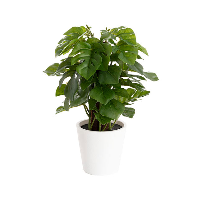 Artificial Monstera Potted Plant Green (25cmH)