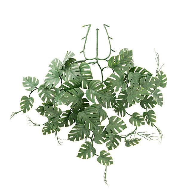 UV Treated Hanging Plant Philo Monstera Green (35cmH)