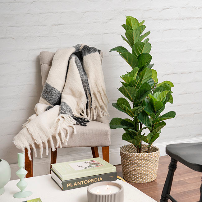 UV Treated Artificial Fiddle Tree Green (120cmH)