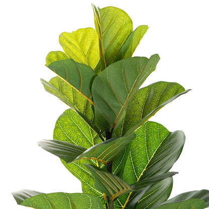 UV Treated Artificial Fiddle Tree Green (120cmH)