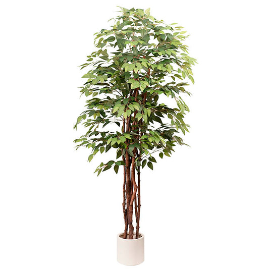 Giant Artificial Sakaki Tree Potted Green (210cmH)