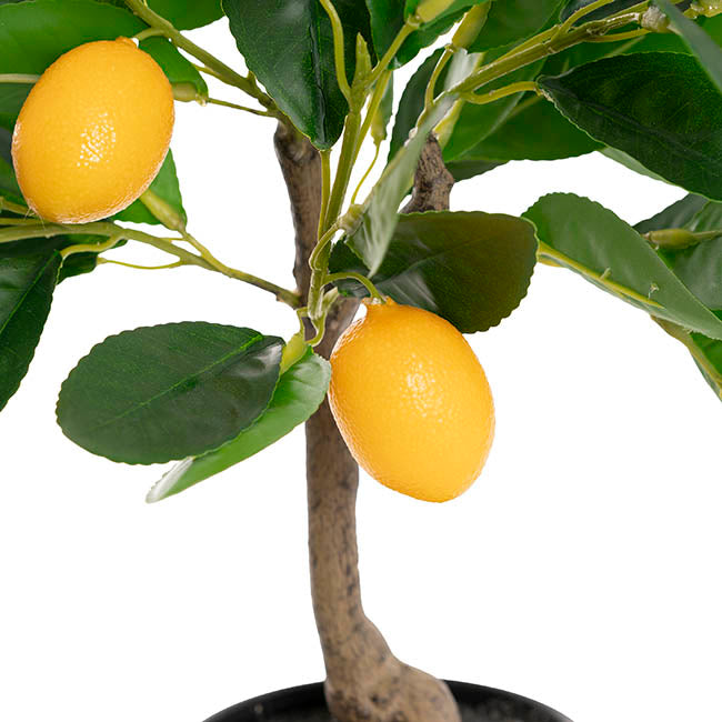 Real Touch Artificial Lemon Tree Potted Green (40cmH)