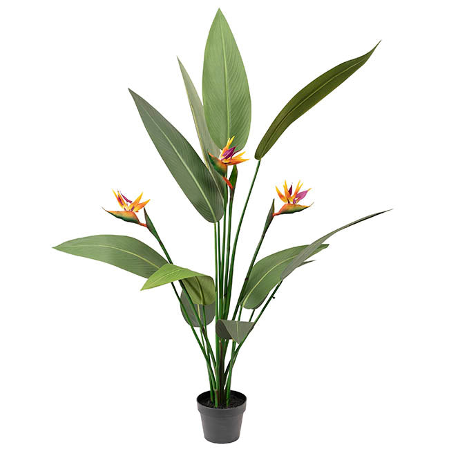 Artificial Bird of Paradise Plant Green (150cmH)