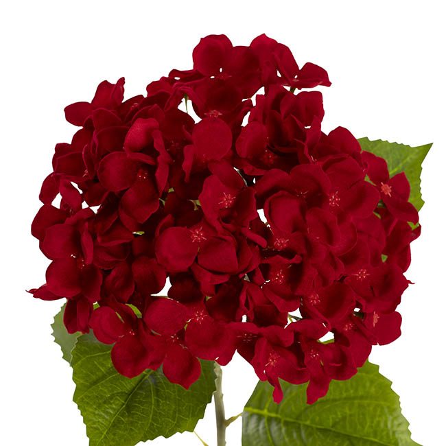 Velvet Hydrangea Red (58cmH)