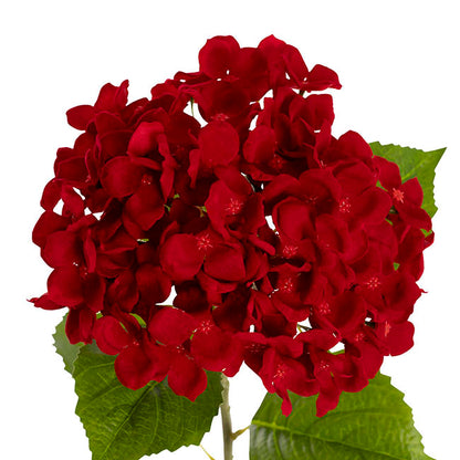 Velvet Hydrangea Red (58cmH)