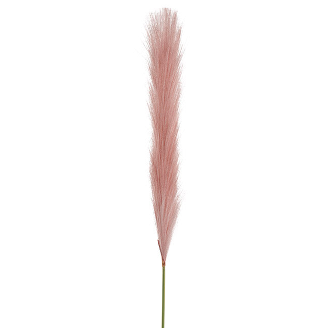 Single Stem Pampas Spray Dusty Pink (70cmH)
