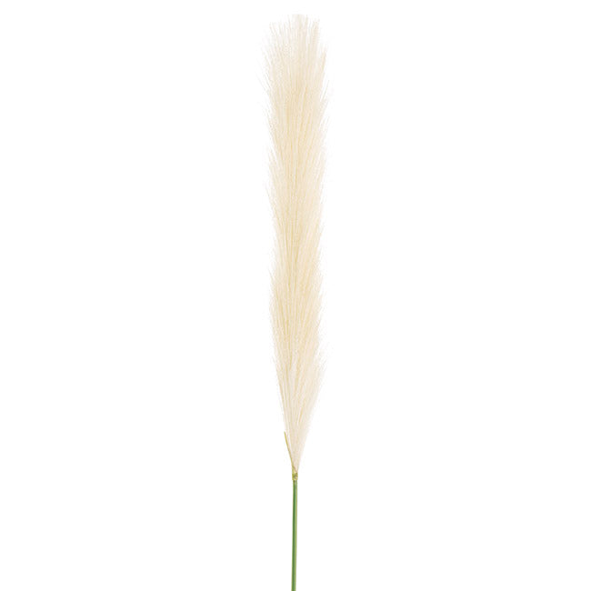 Single Stem Pampas Spray Off White (70cmH)