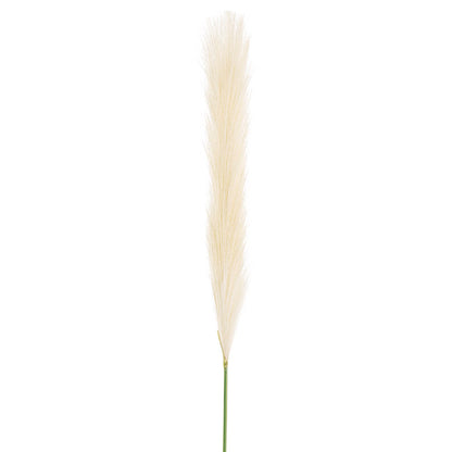 Single Stem Pampas Spray Off White (70cmH)