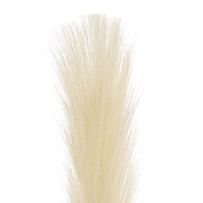 Single Stem Pampas Spray Off White (70cmH)