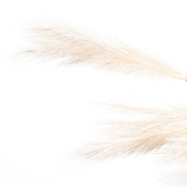 Artificial Bulrush Garland Soft Almond (150cmL)