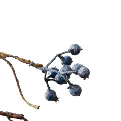 Blueberry Vine Garland Blue (140cmL)