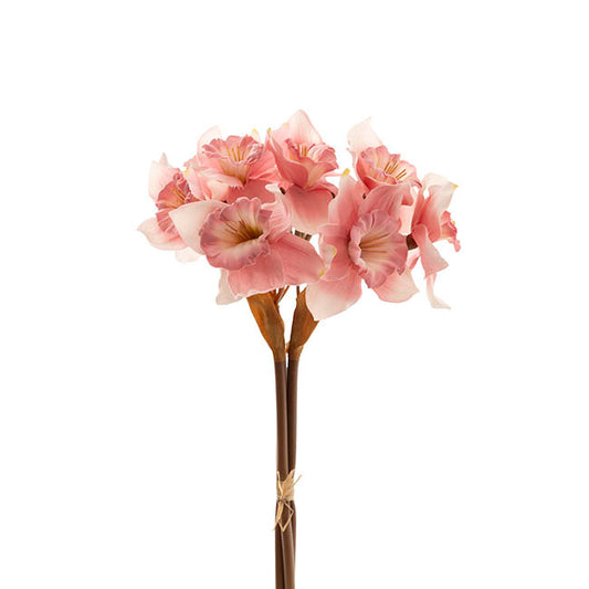 Daffodil Bunch x 9 Heads Pink (40cmH)