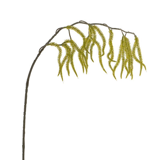 Draping Amaranthus Spray Green (98cmH)