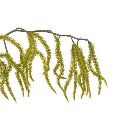 Draping Amaranthus Spray Green (98cmH)