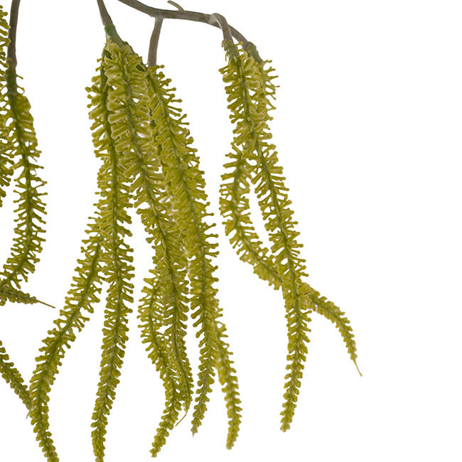 Draping Amaranthus Spray Green (98cmH)