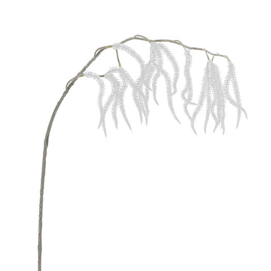 Draping Amaranthus Spray White (98cmH)