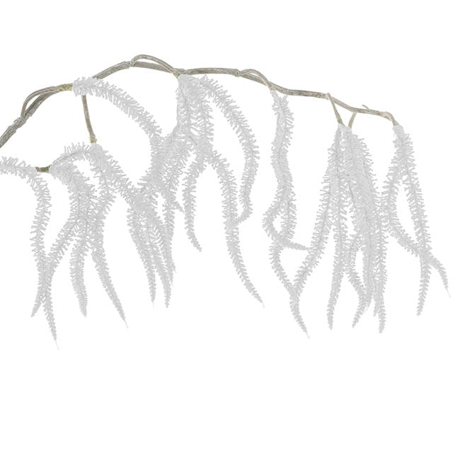 Draping Amaranthus Spray White (98cmH)