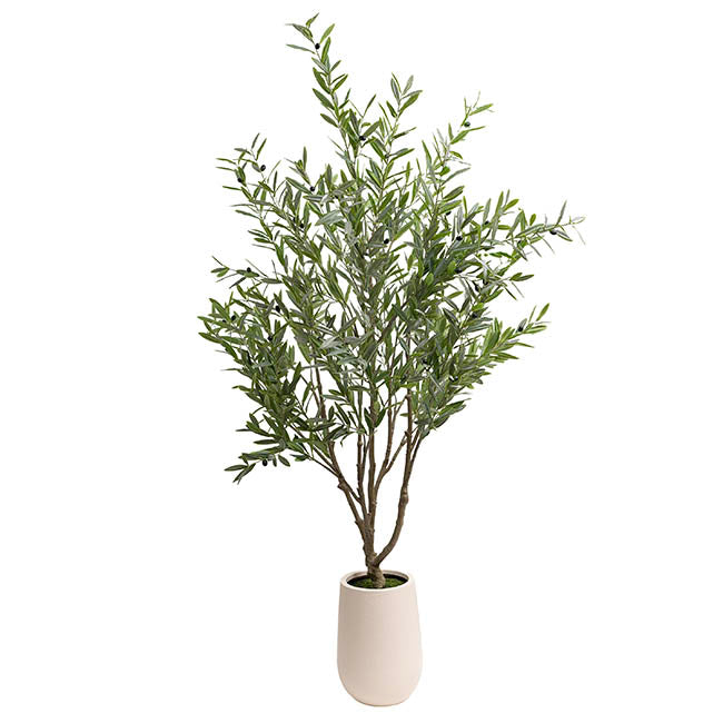 Grande Faux Olive Tree Real Touch Green (210cmH)